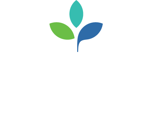 Totara